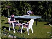 Dominik_Game_IT.jpg (168427 Byte)